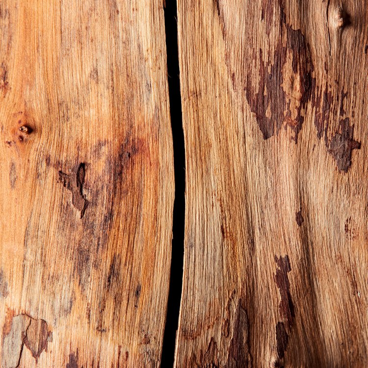 Ember Wellness - Lymphatic Drainage Duo