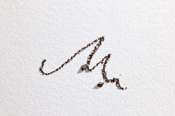The Brow Pencil (Dark Brown)
