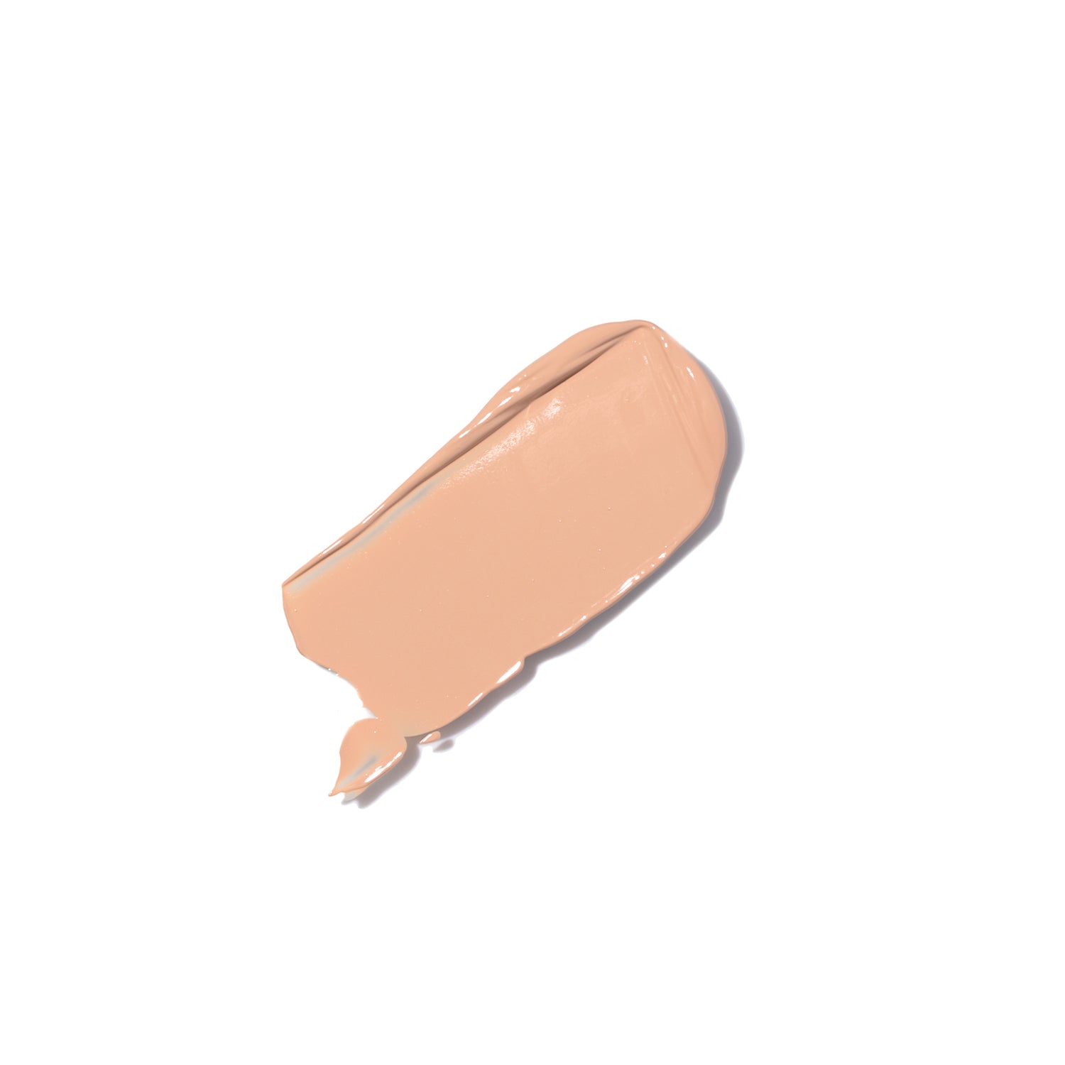 Skin Perfector (01)