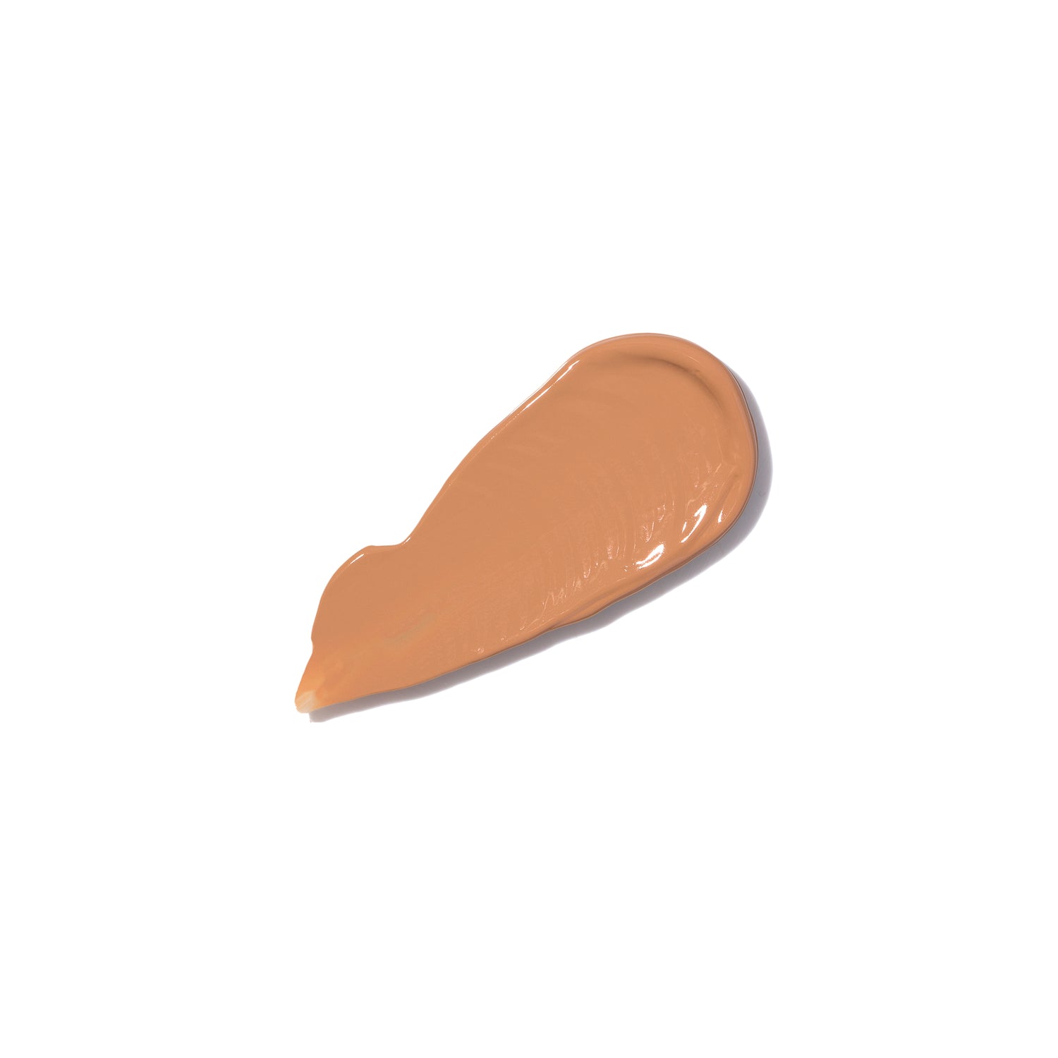 Skin Perfector (05)
